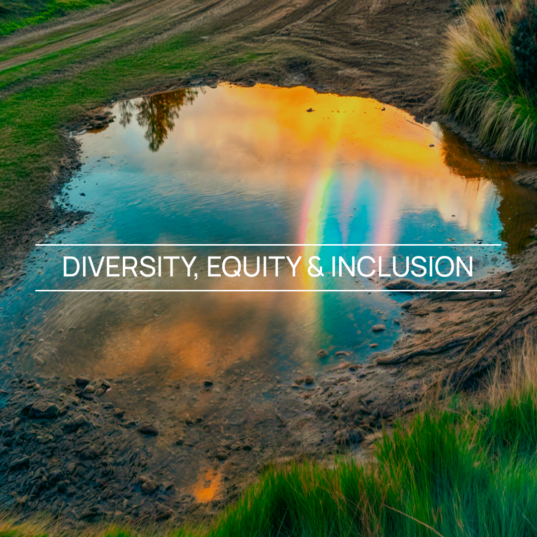 DIVERSITY EQUITY & INCLUSION-1